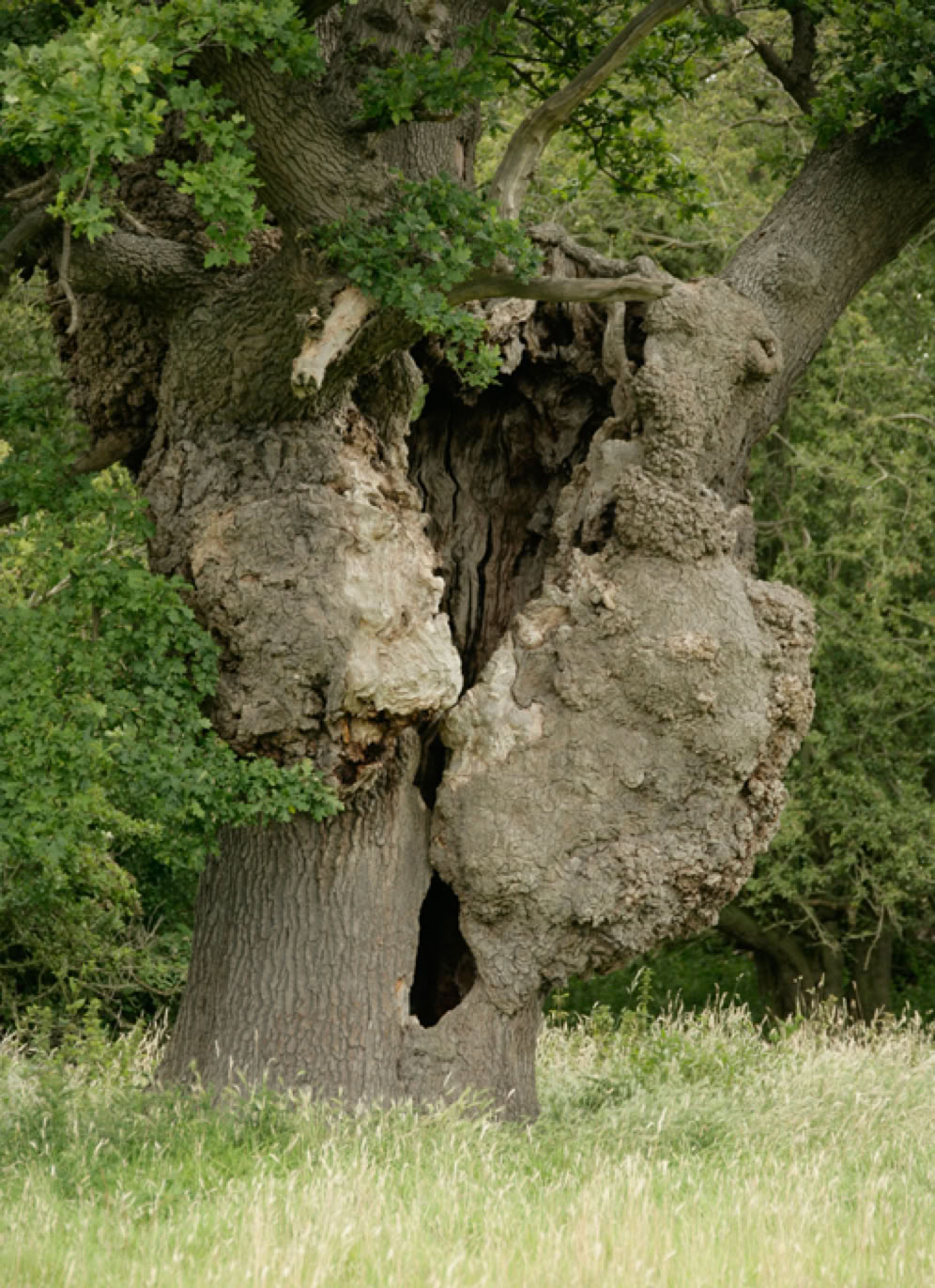 A microphone used for recording speech.